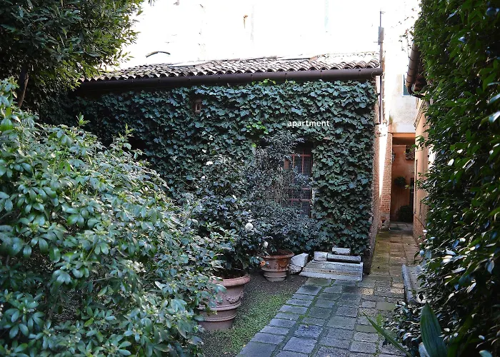 Mocenigo~canalgrande Aperitif